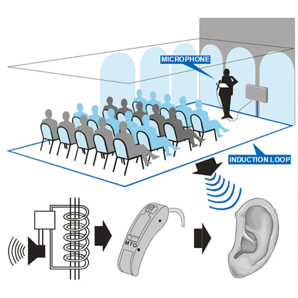 Стационарная индукционная система